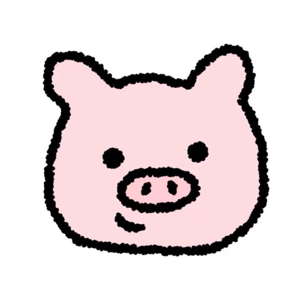 郑哈哈