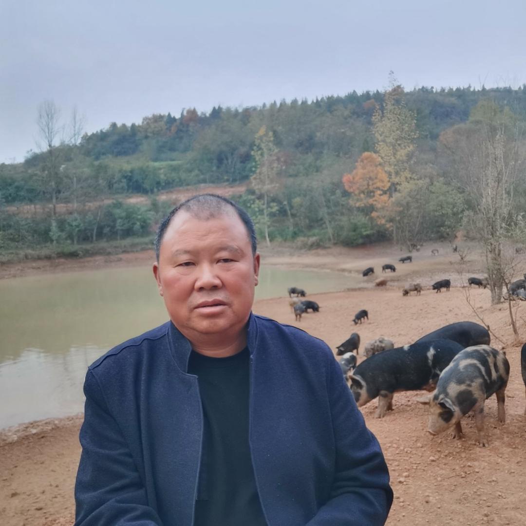堆金山徐进