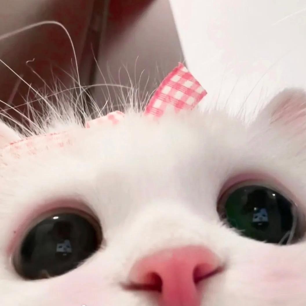 。。。   。