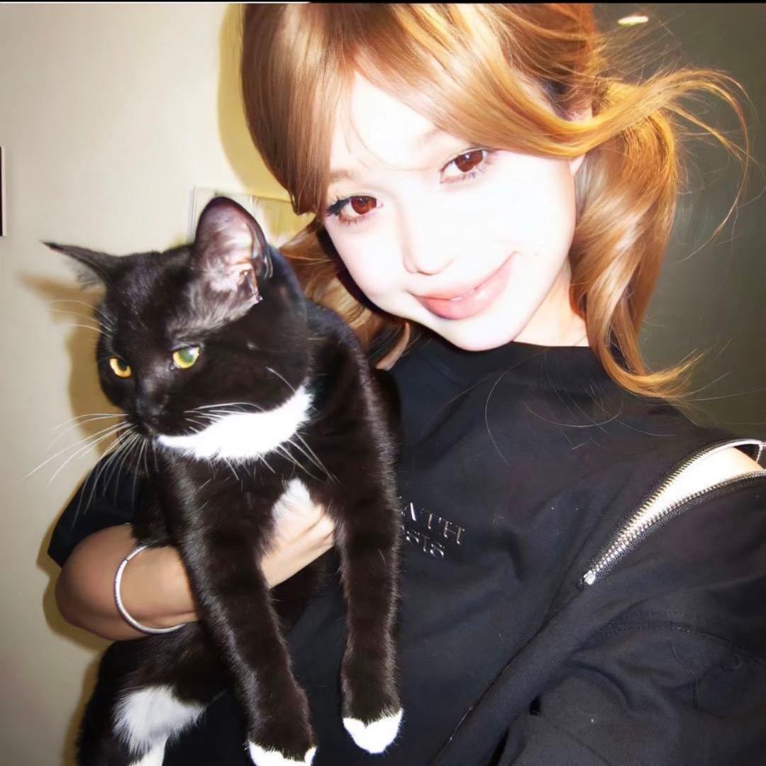美女不太甜