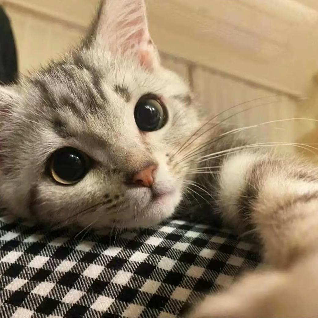 ∧
