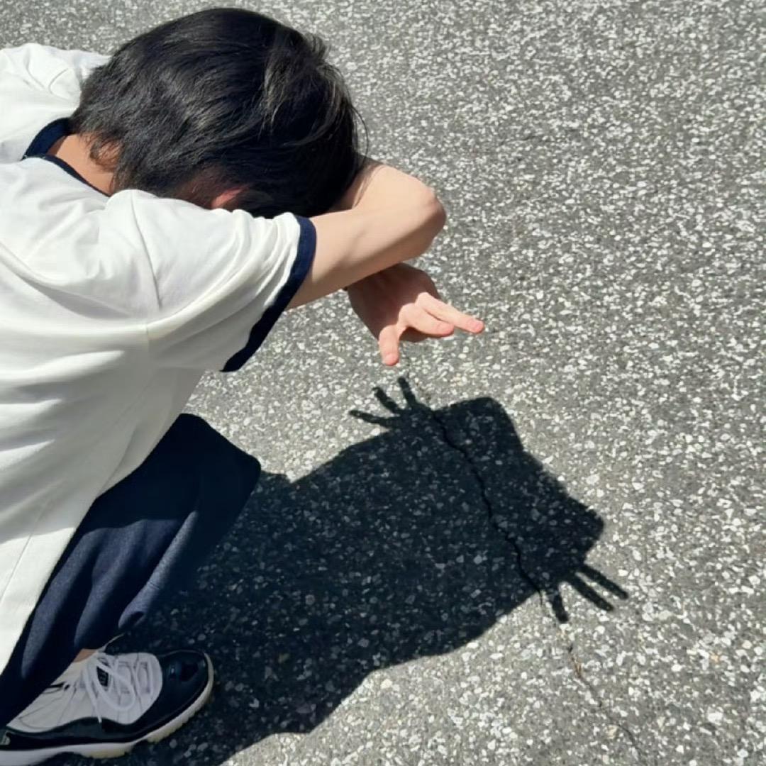 椰子菠萝