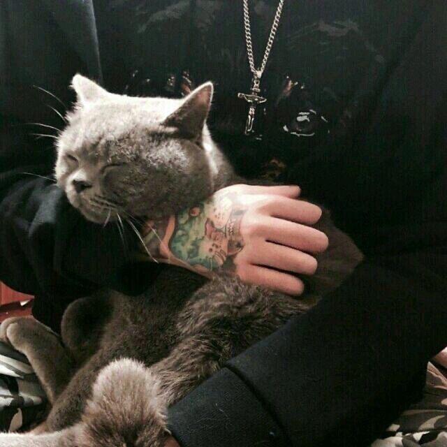 ld
