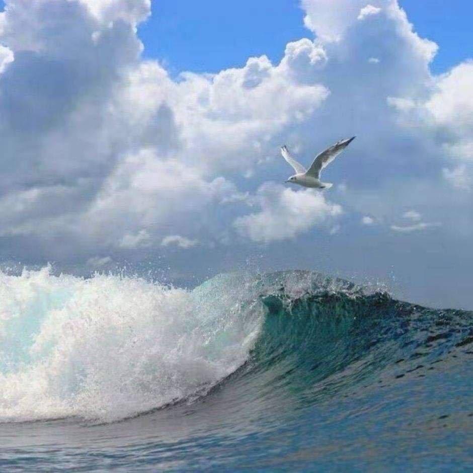 Haiyan海燕