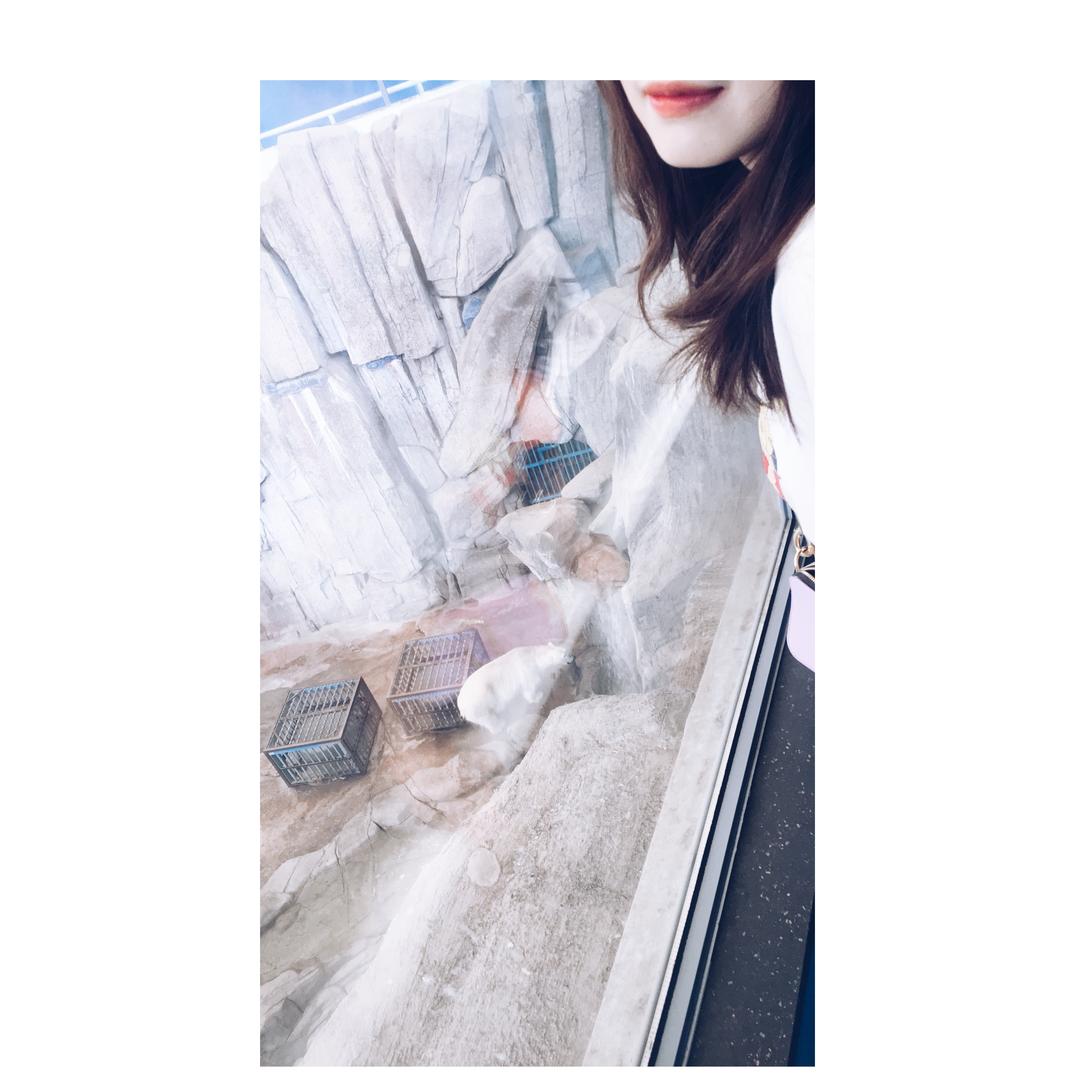 蝎子莱莱的壳子