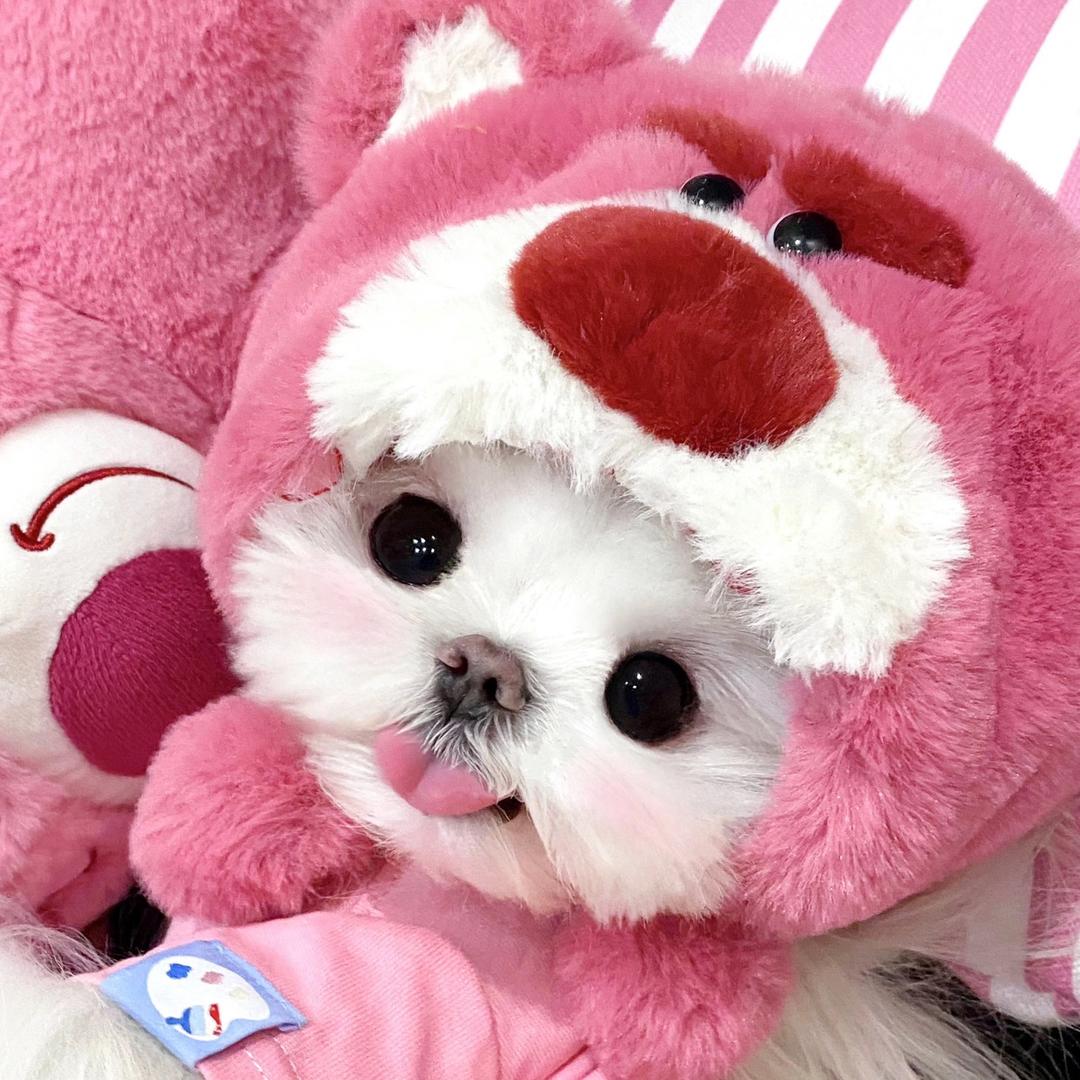 /贰贰'