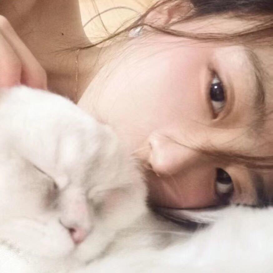 胖不了