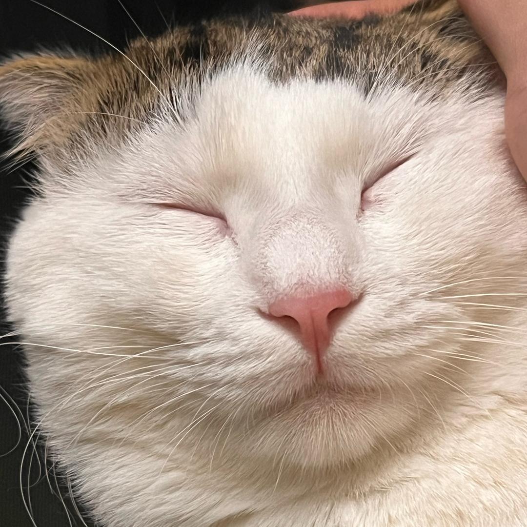 ins