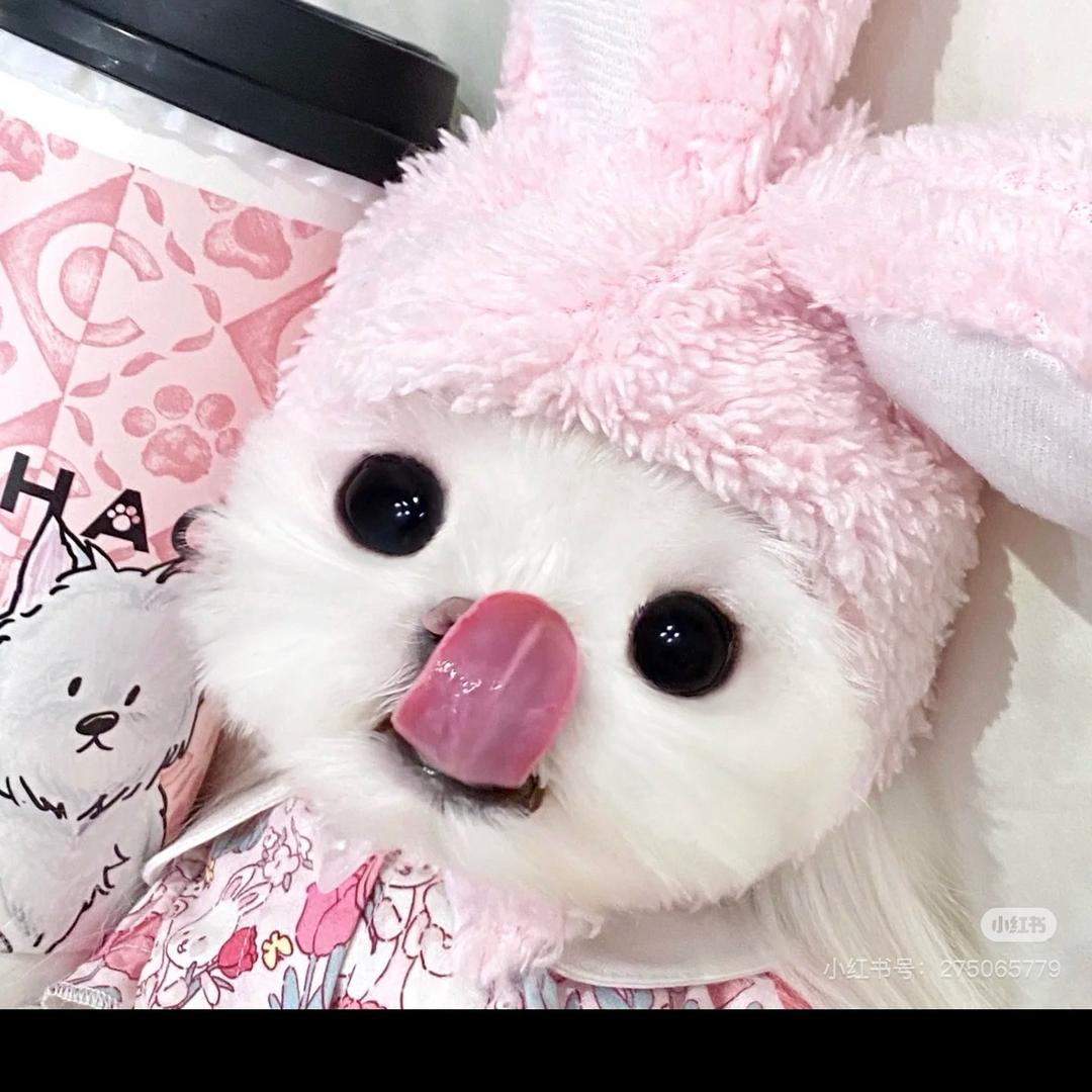 菲总