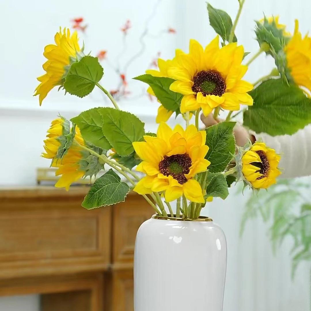 向日葵🌻