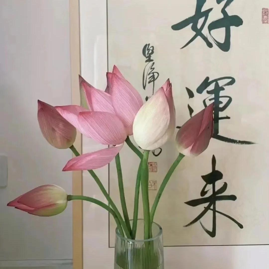 仁心咨询工作室