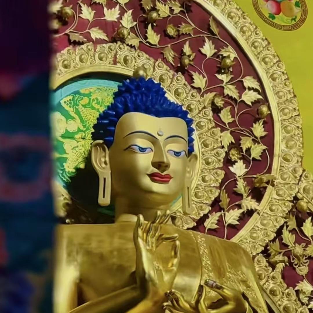 你的生活是我的梦想