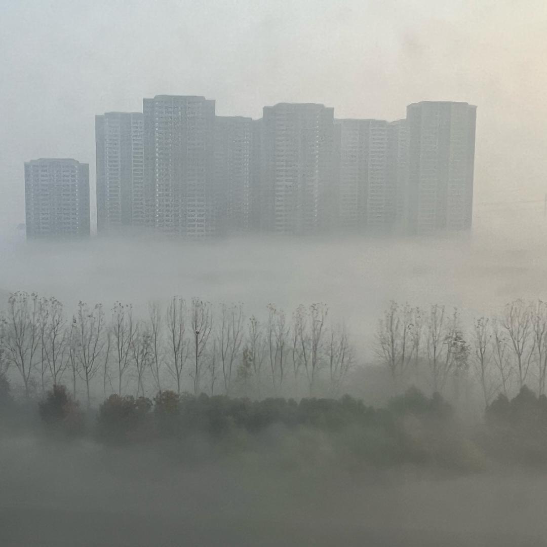 小鱼