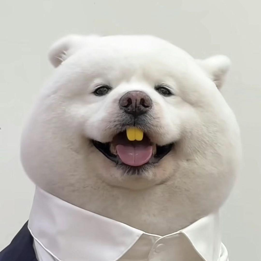 阿卷是笨蛋