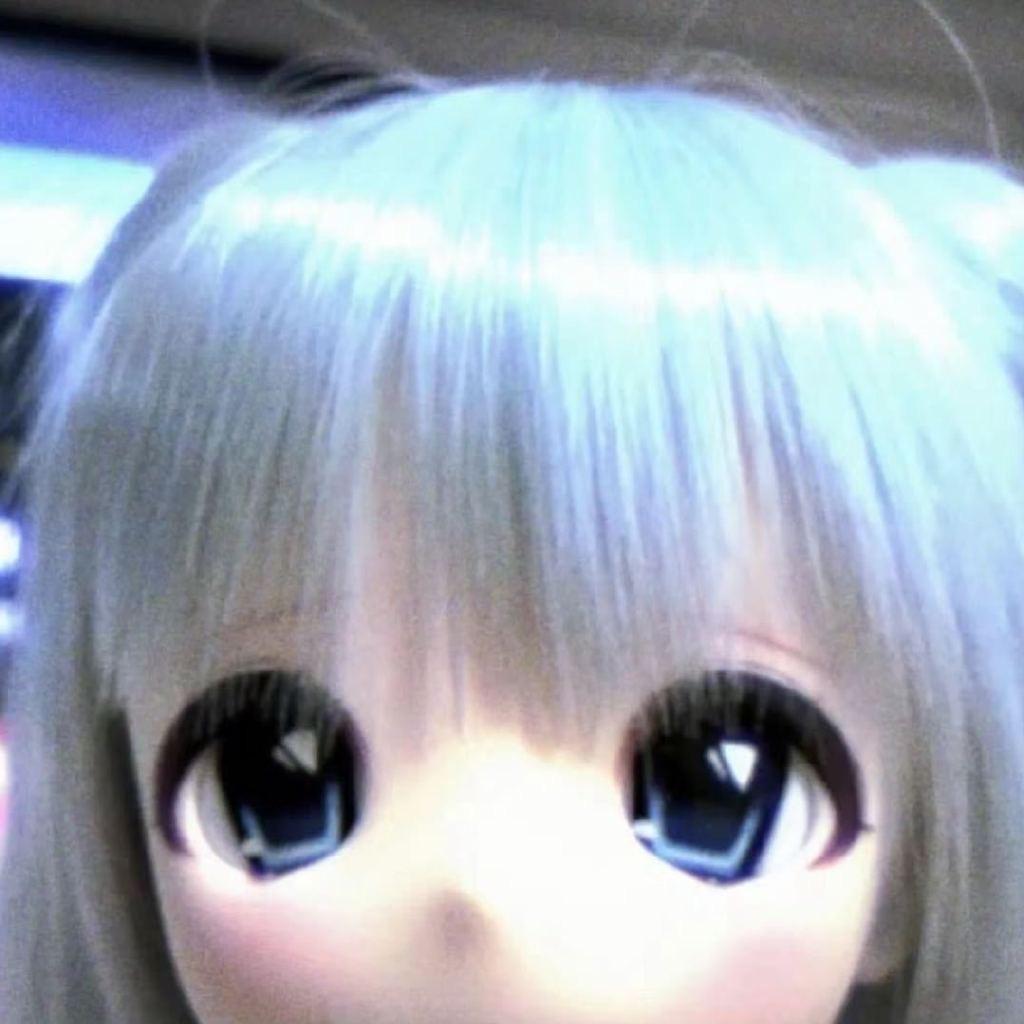 养小猫