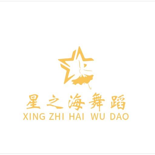 登封星之海舞蹈