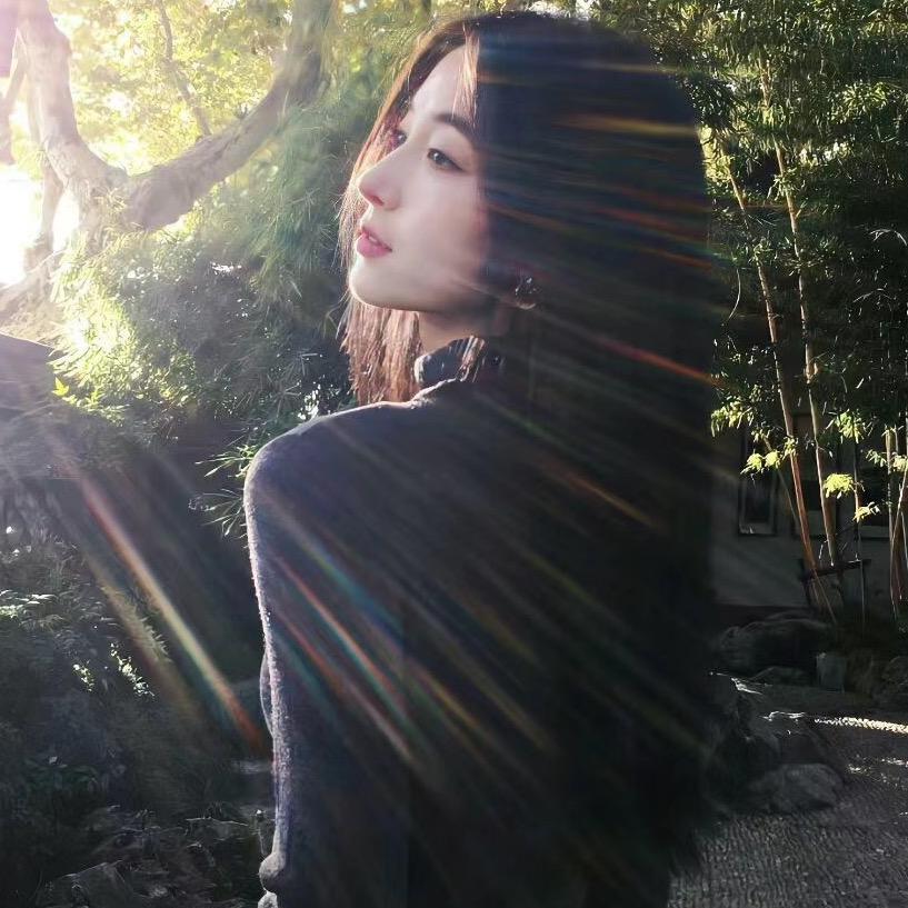 .房东的猫