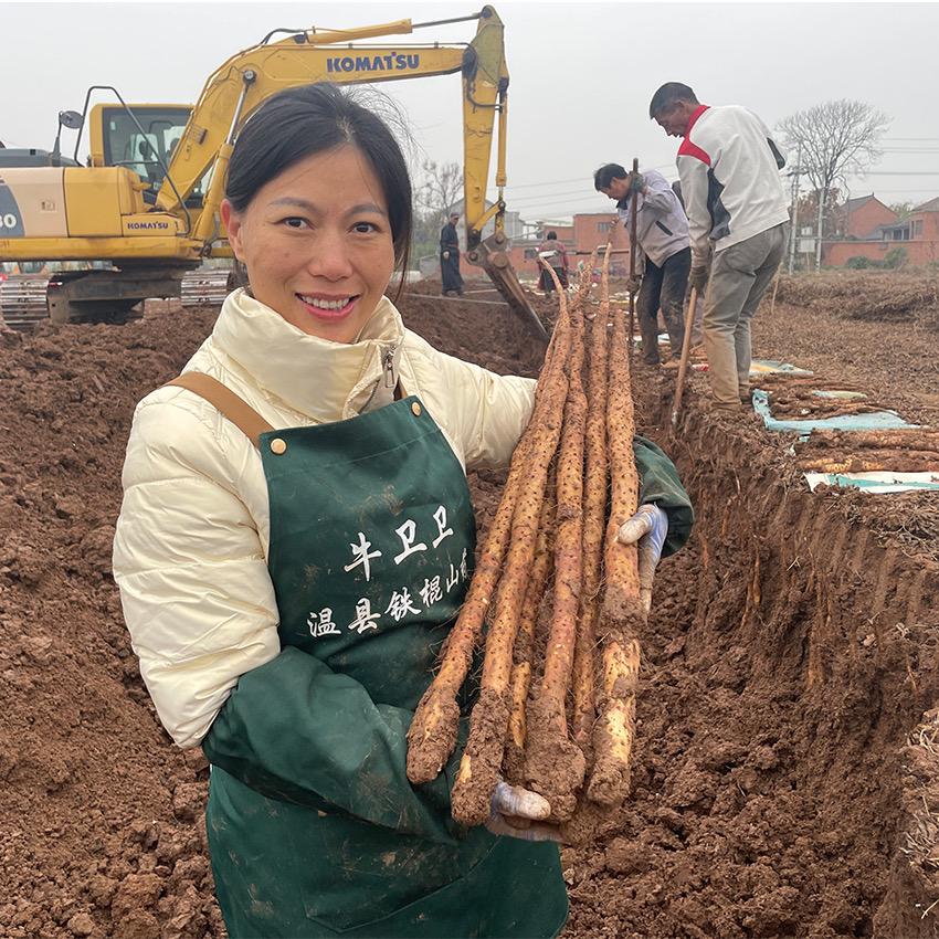 非遗山药牛卫卫～三省堂