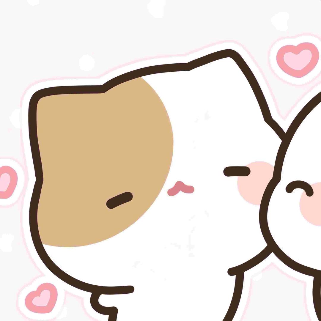 Y~