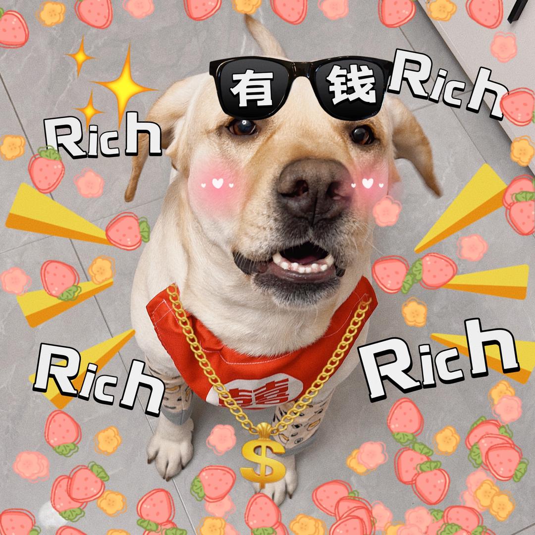 六佰小崽子