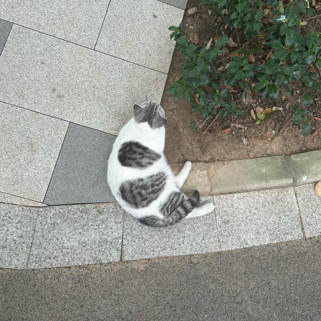 一位兴趣使然的塔