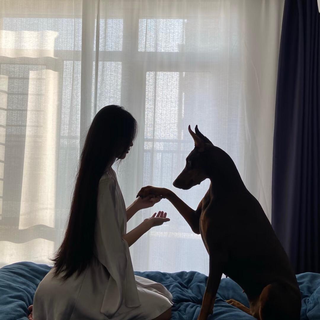 济南艾斯慕慕踩背馆馆s