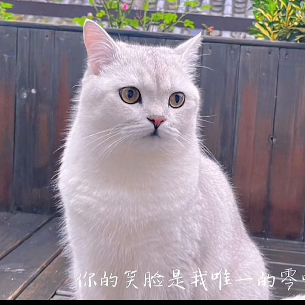 天指道足浴（十堰店）