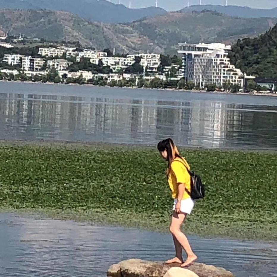 一束花开