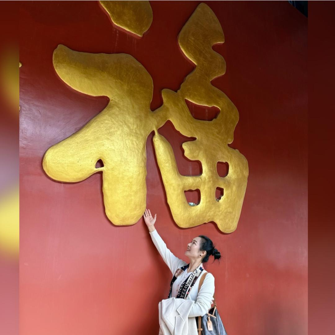 臻雅布艺