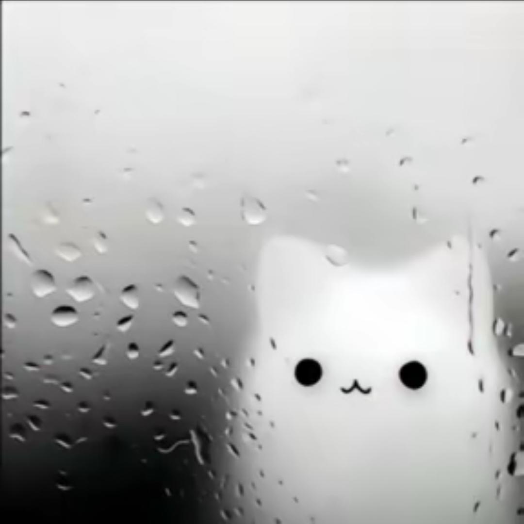 芝士火鸡烤冷面