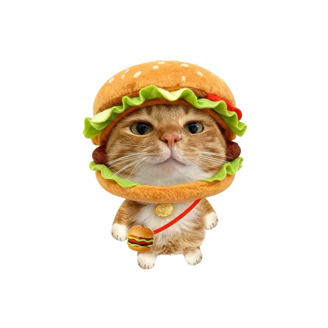 小Hou睡不醒 🐱