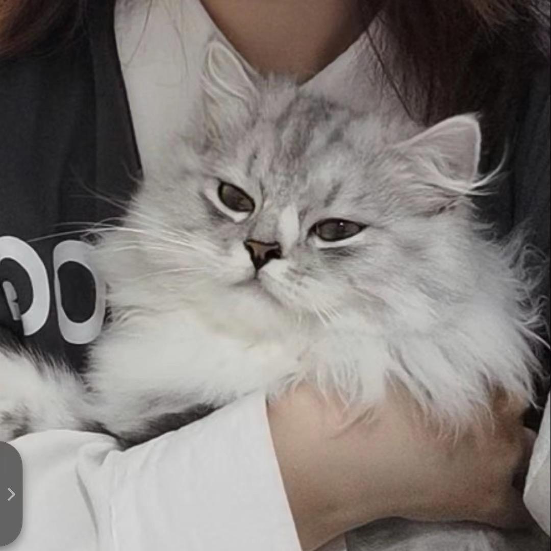 我要熱鮮奶