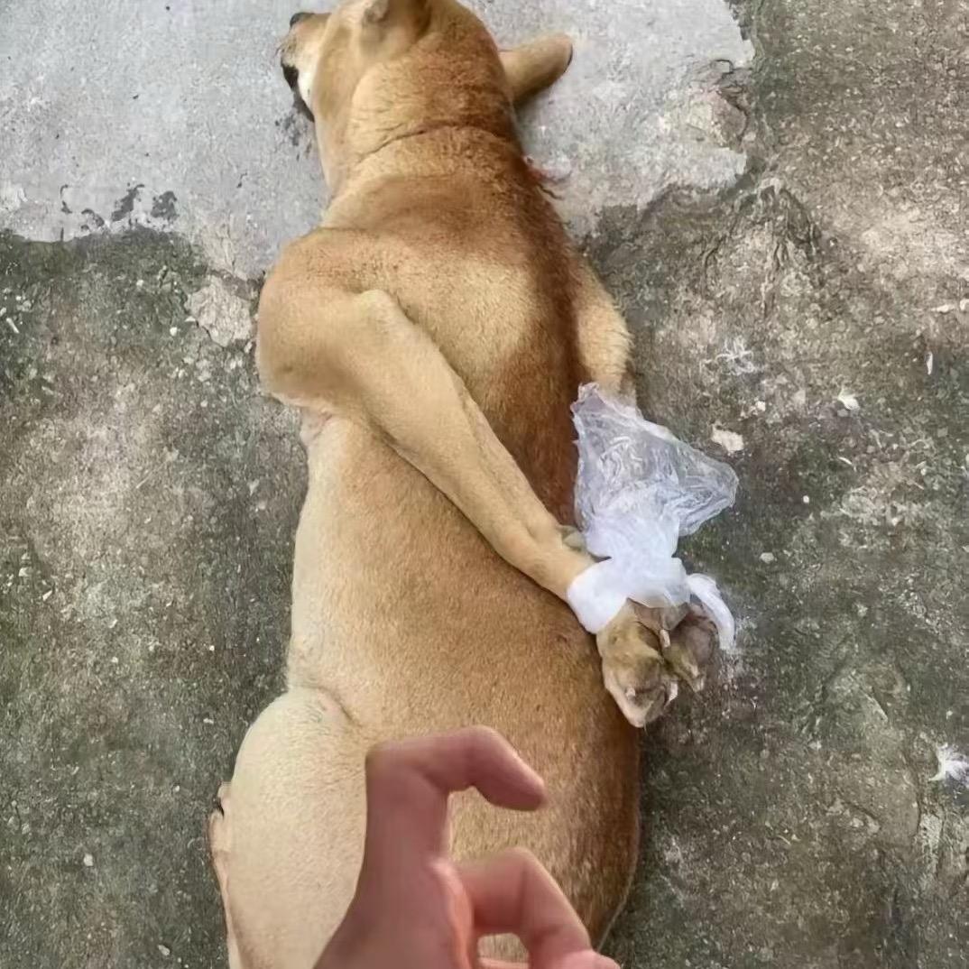 @.版纳汇鑫二手货车～胡师🚚🚚🚚