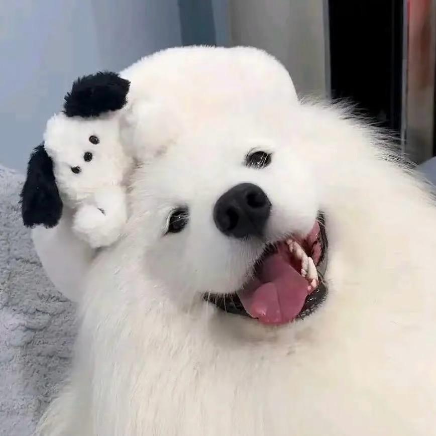 林俊杰、