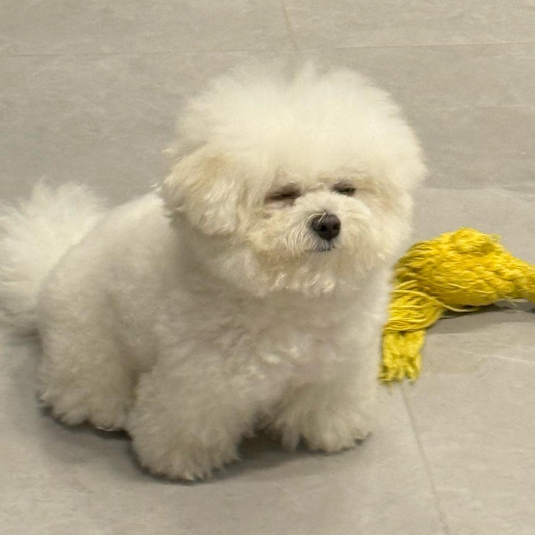 小小十六