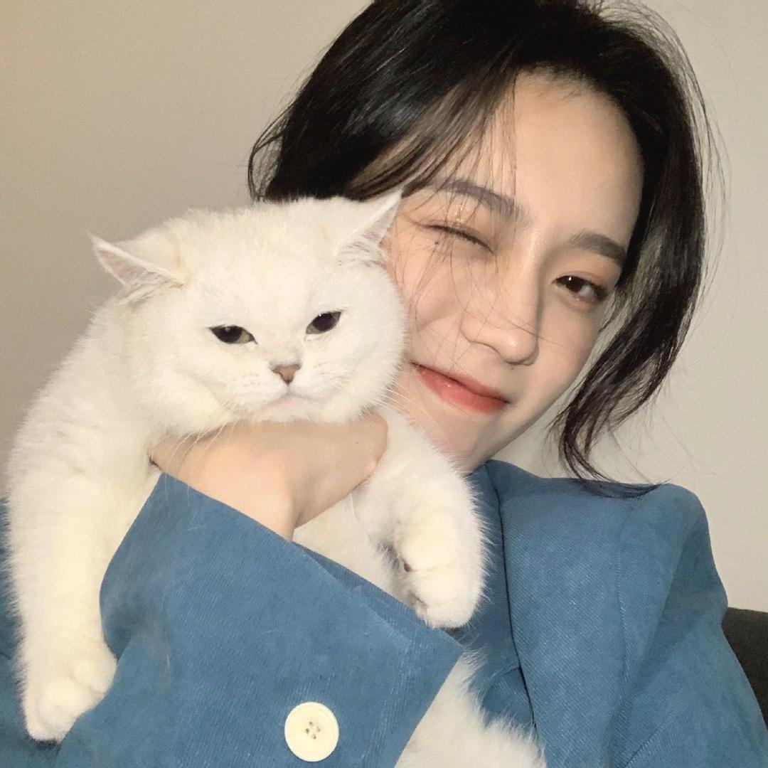 小莎食养