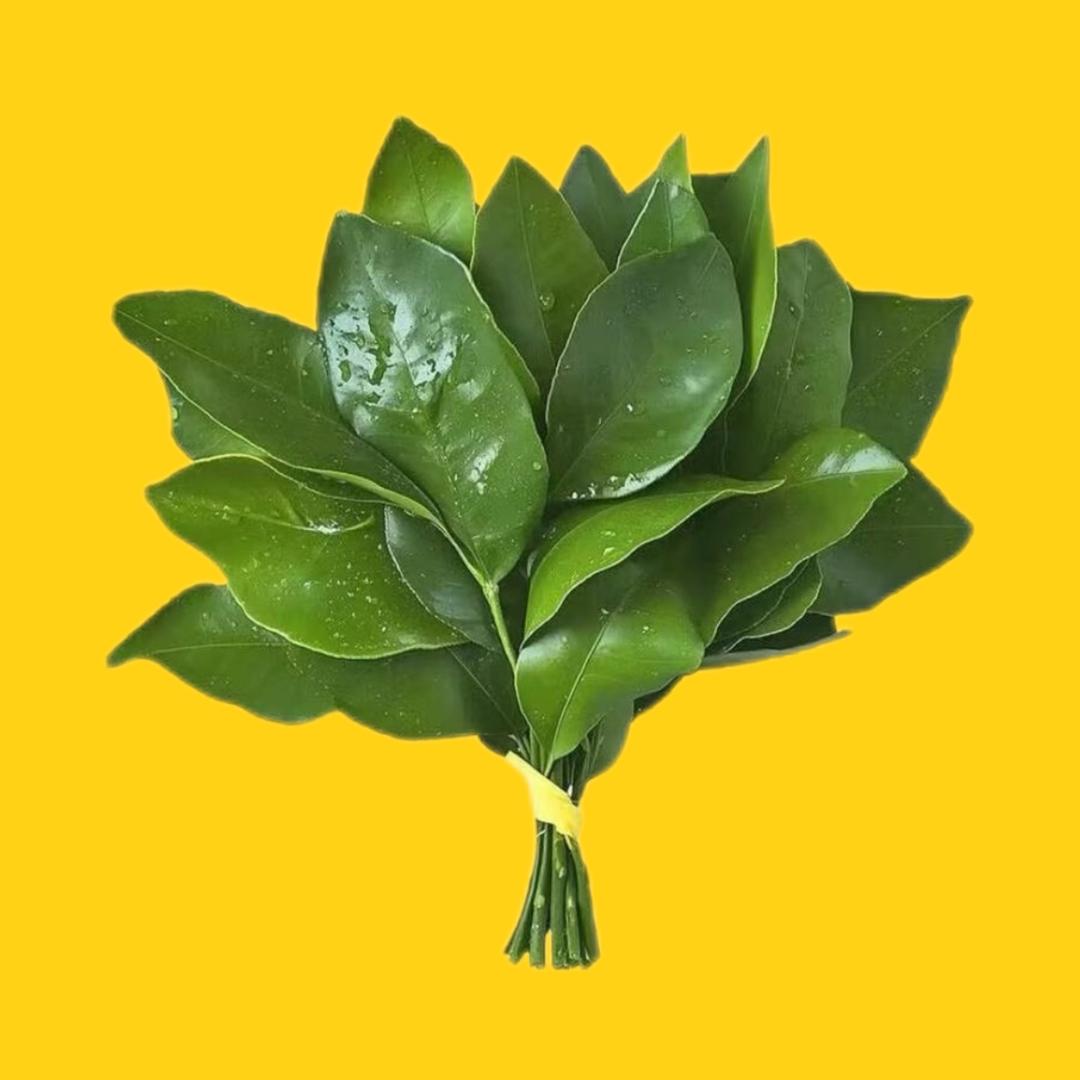 小爽姐姐