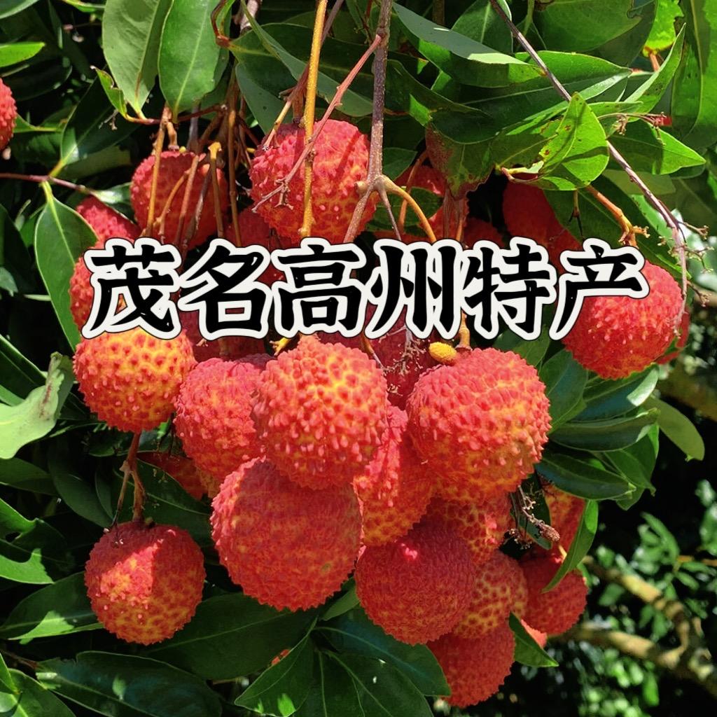 高州农产品产地
