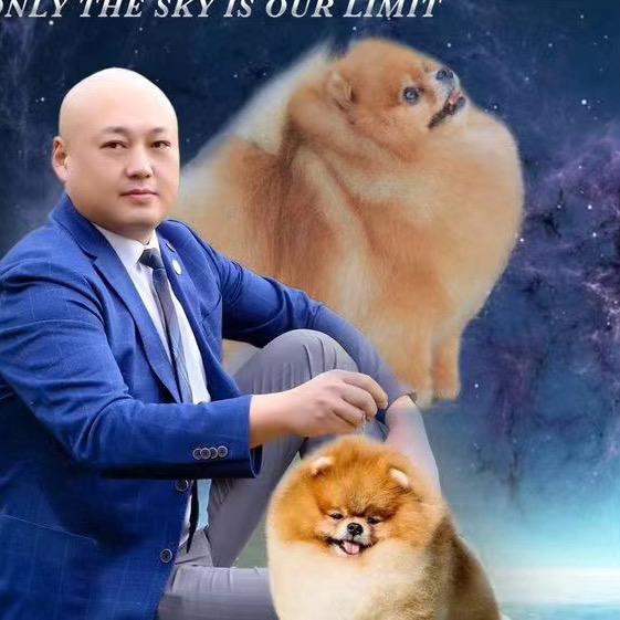 天空博美