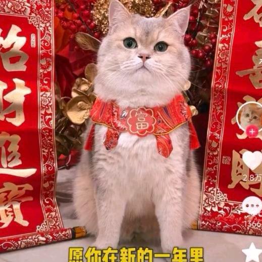 电摇小子麻木人