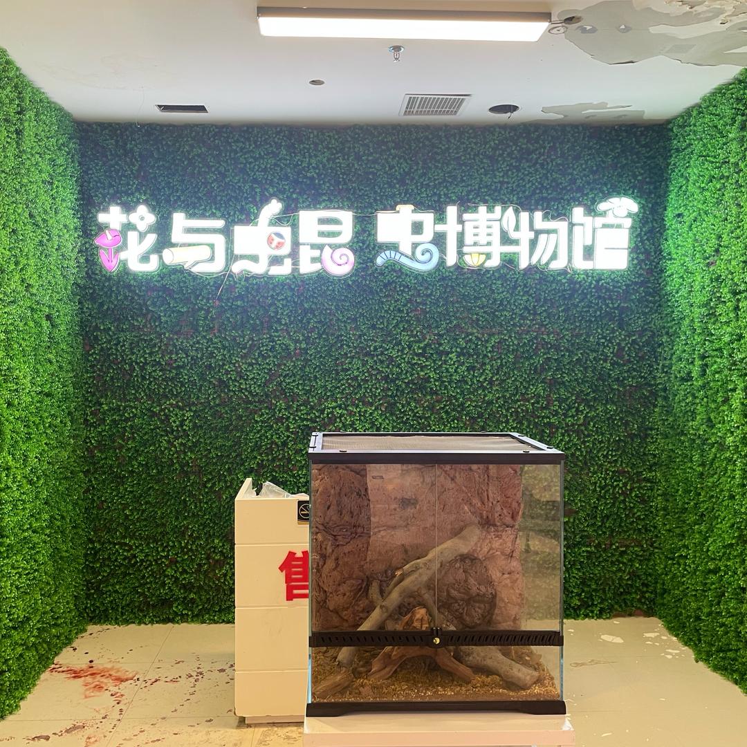 花与虫昆虫博物馆(杞县)官方号