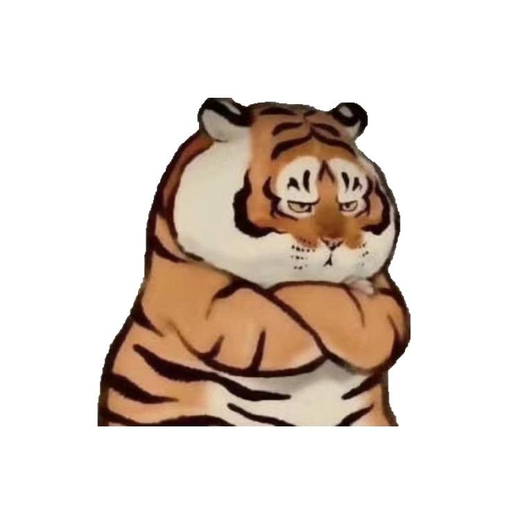 王子尧
