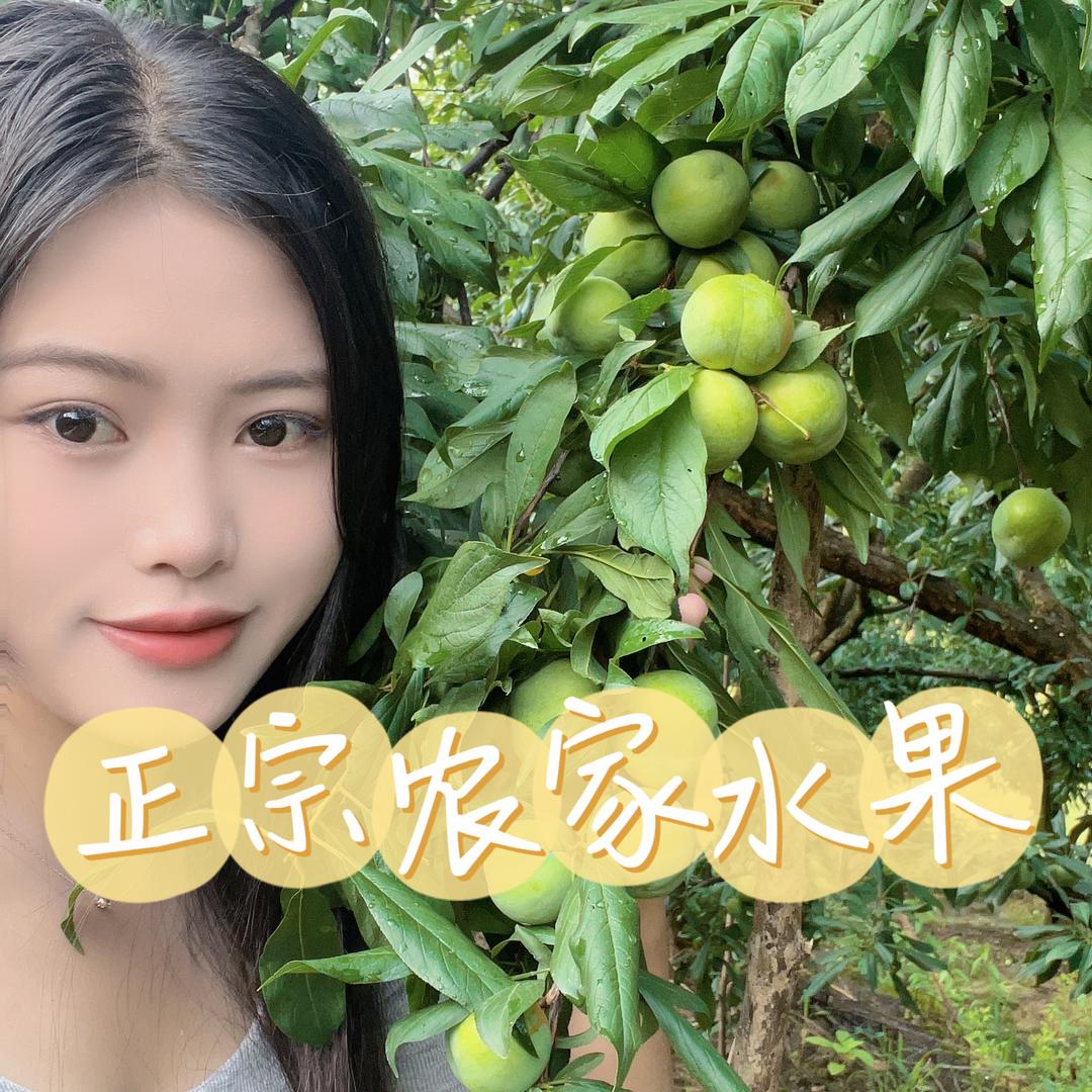 小妹儿-江橙鲜果