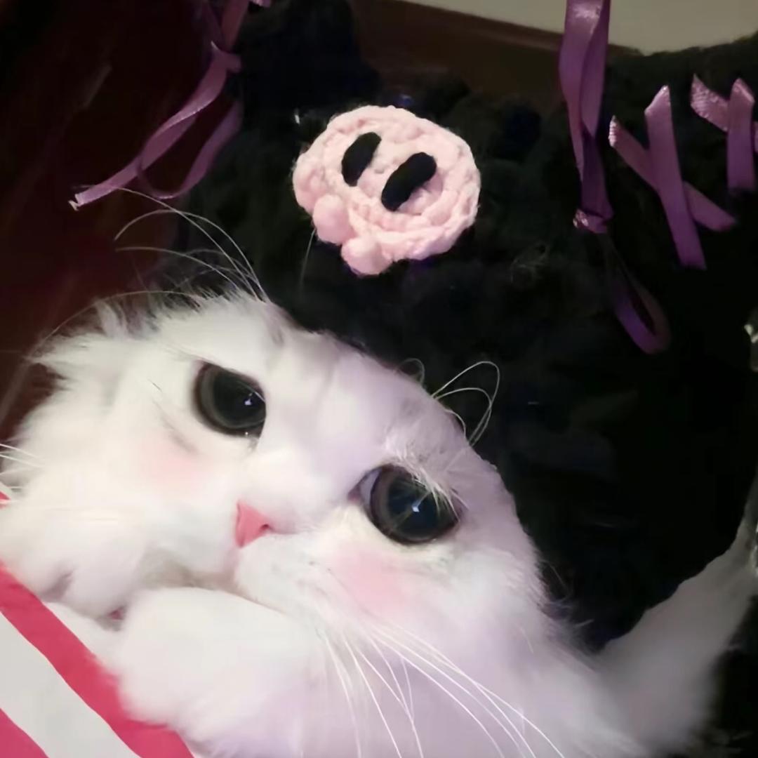 Xx.
