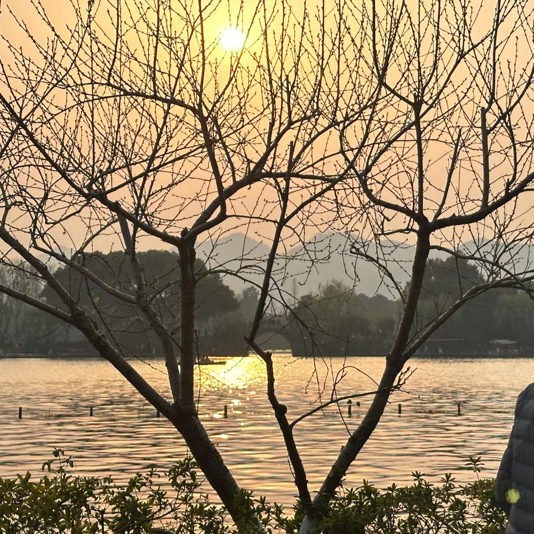 淑女不是姐的範
