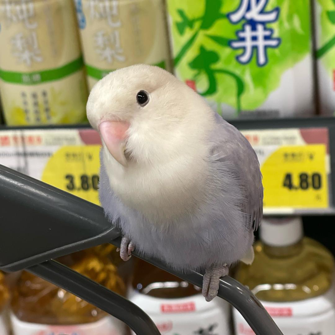 疯显声