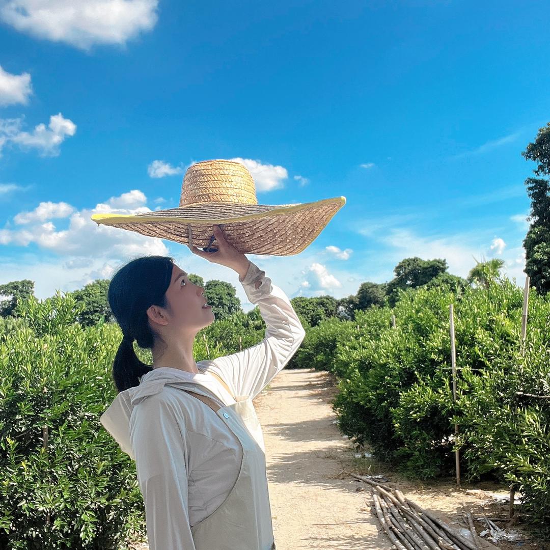 陈皮姐妹二三事