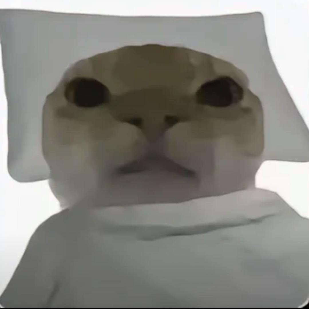 BERD