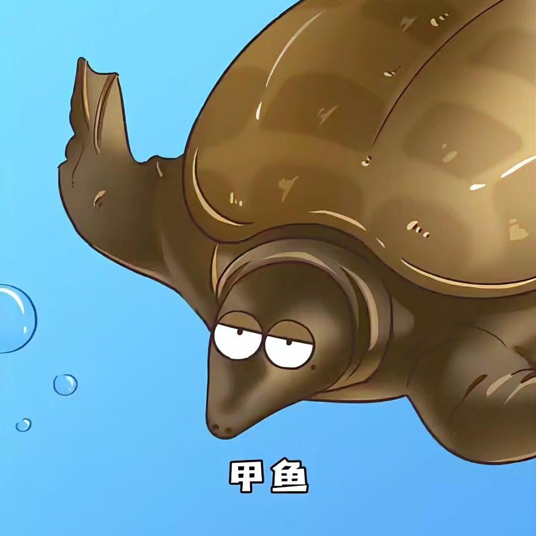 浙江北极淡水三店