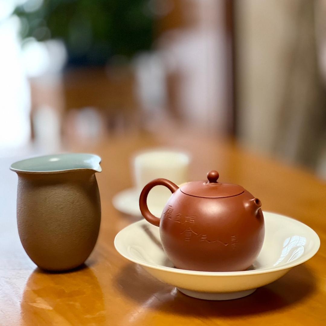 小立春风